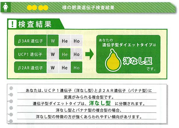 ダイエット診断