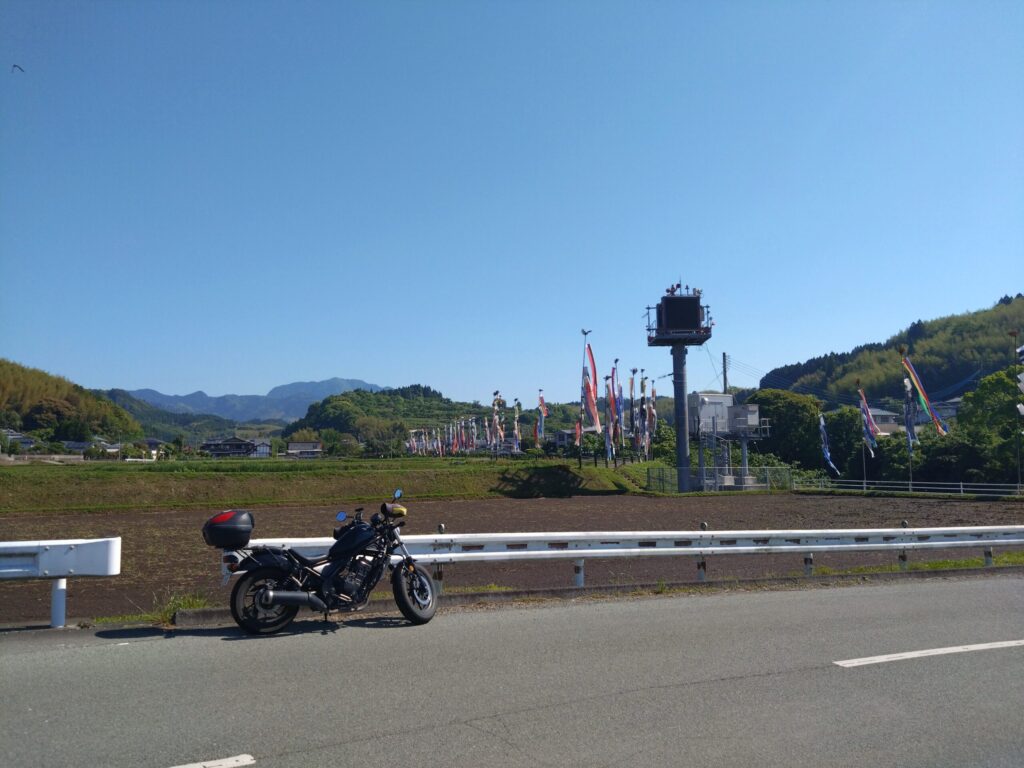 畑にはためくたくさんのこいのぼり